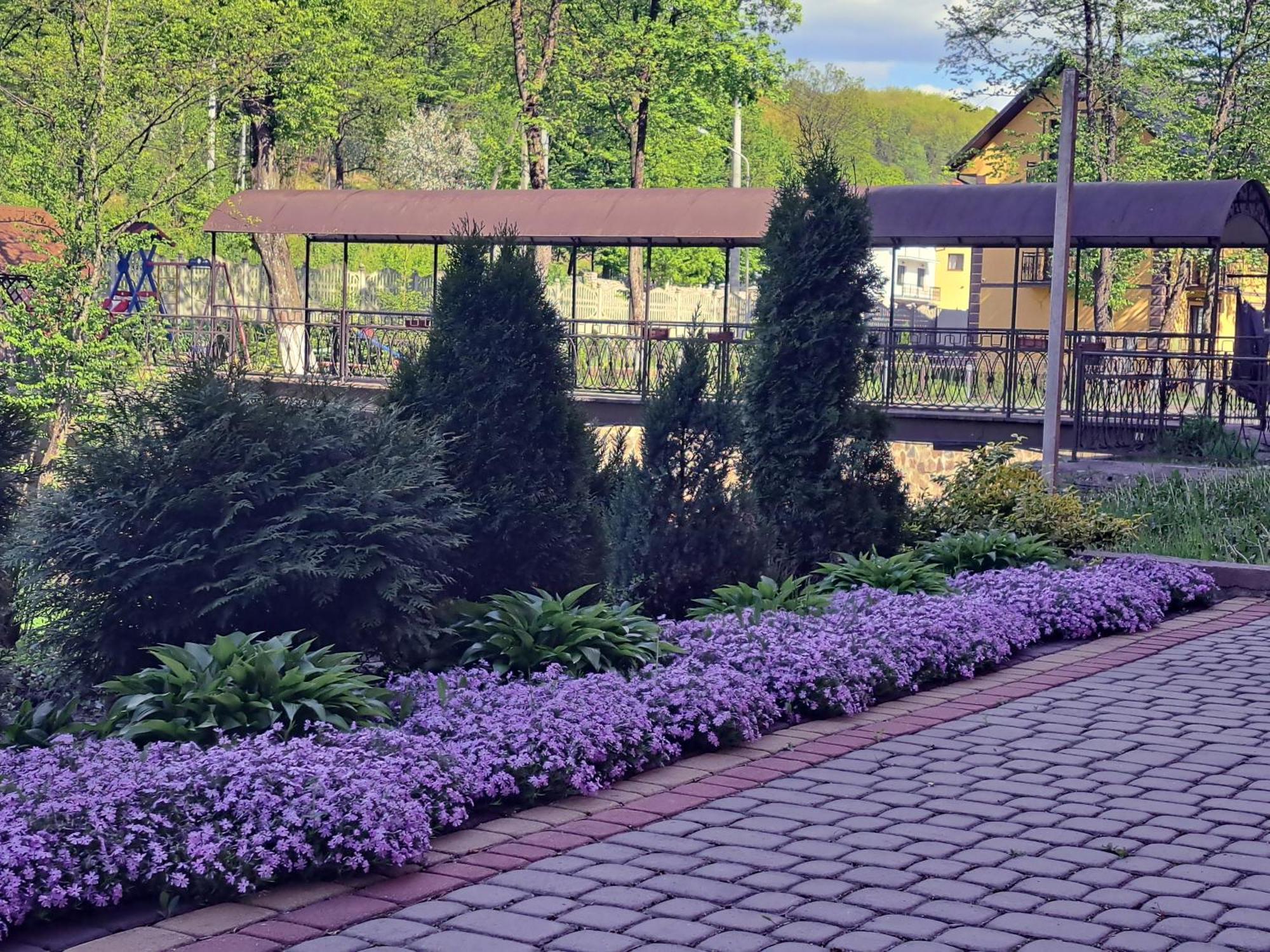 Hotel Sonyachna Sonatha Polyana  Zewnętrze zdjęcie